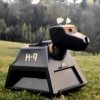 k9_007