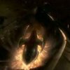 talyn_004