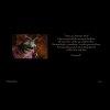 FS-Quotes_067.jpg